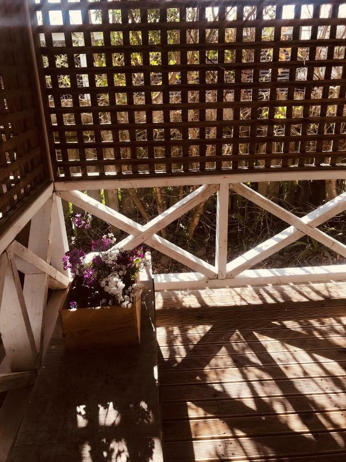 Prodigal Daughter Gourmet Lodge Martinborough Εξωτερικό φωτογραφία